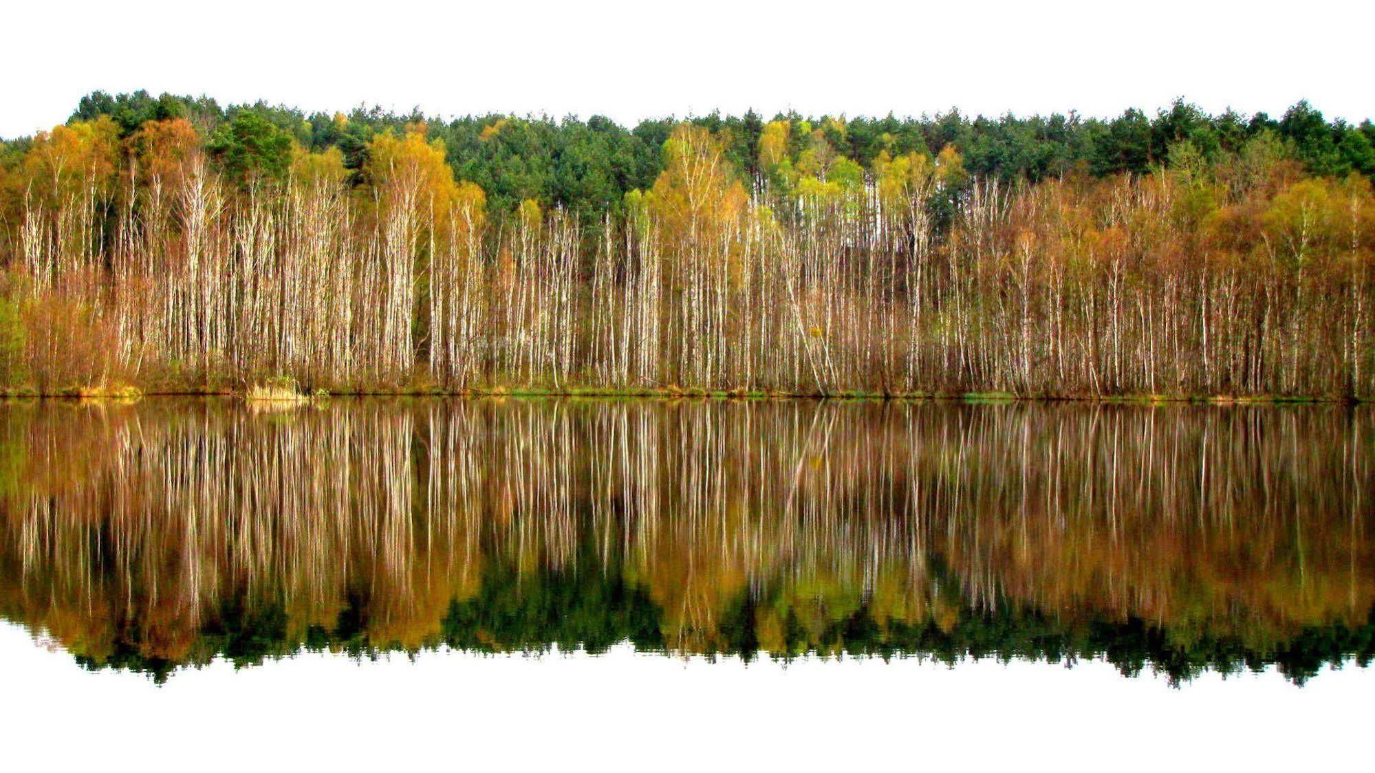 Rezydencja Nad Jeziorem Pestkownica Экстерьер фото